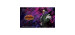 My hero academia card game -  surface de jeu - overhaul (61cm x 35cm)