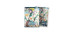 Dragon shield -  pochettes taille standard - jin, fate defiant  - mat (100) -  grand archive
