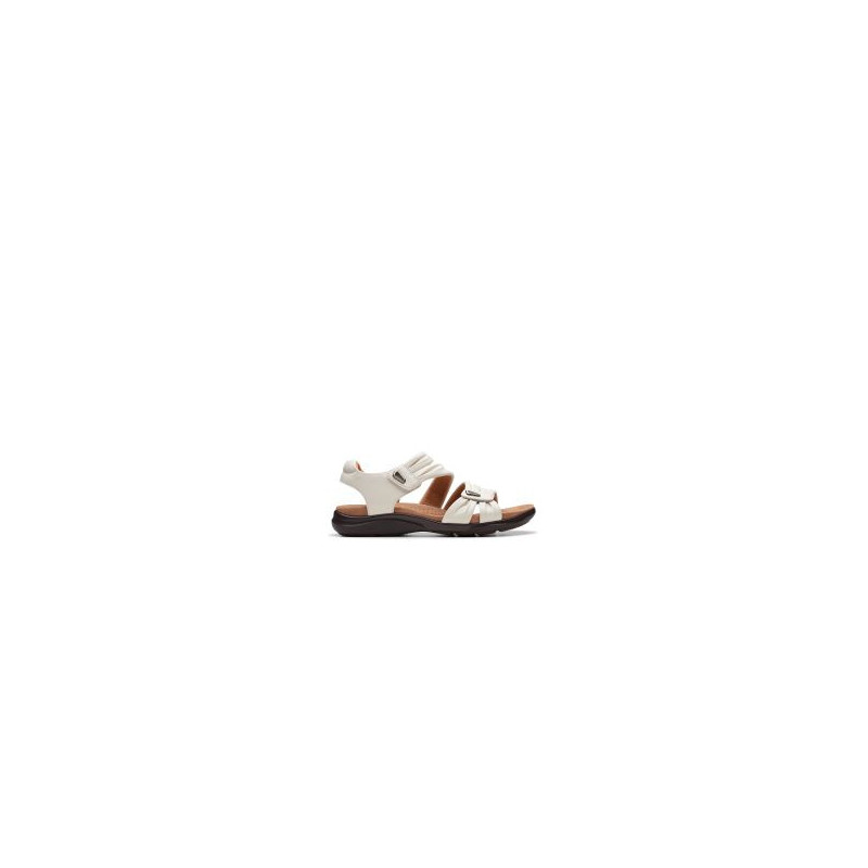 Clarks kitly ave