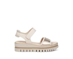 Gabor 64629