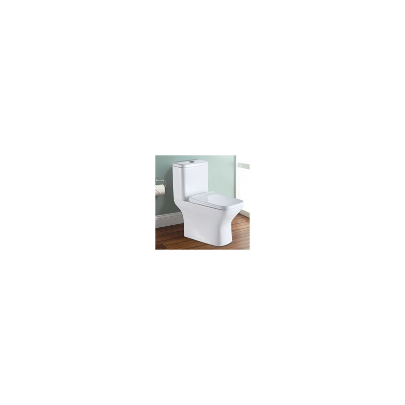 Toilette Monobloc en céramique à économie d'eau à Double Chasse (DK-ZBQ-12248A)